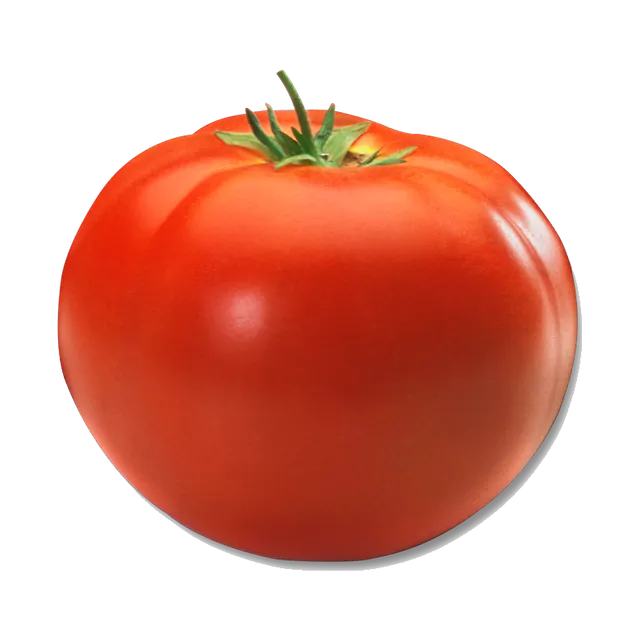 طماطم
