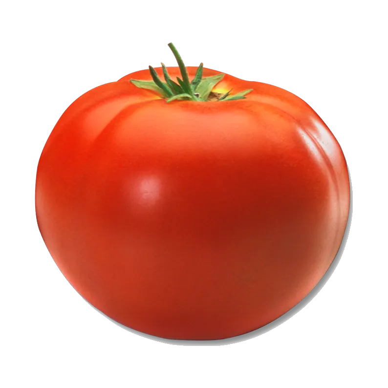 طماطم