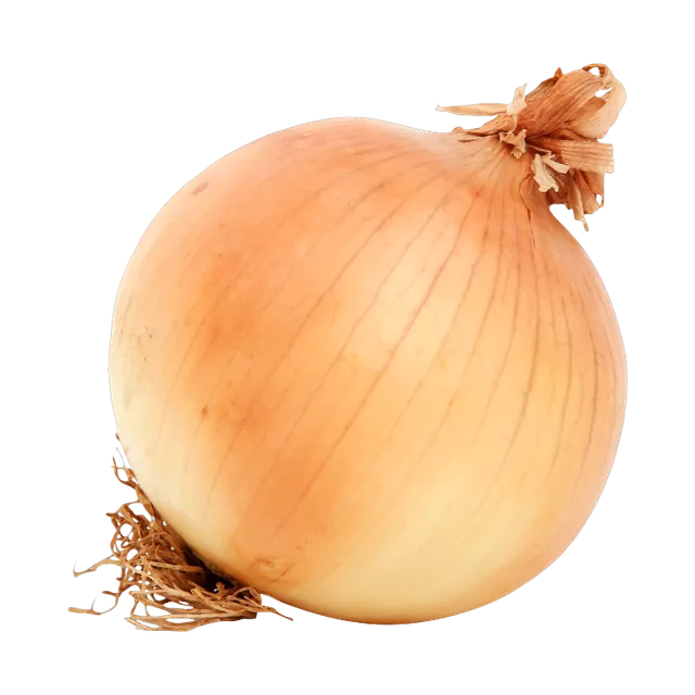 بصل بلدي