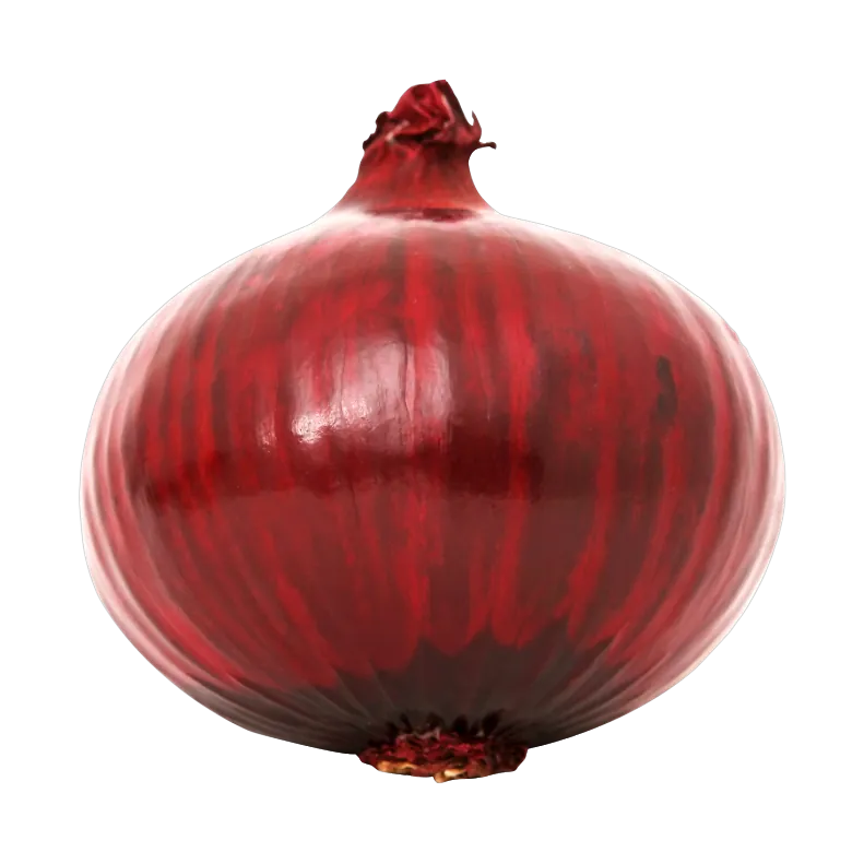 بصل أحمر