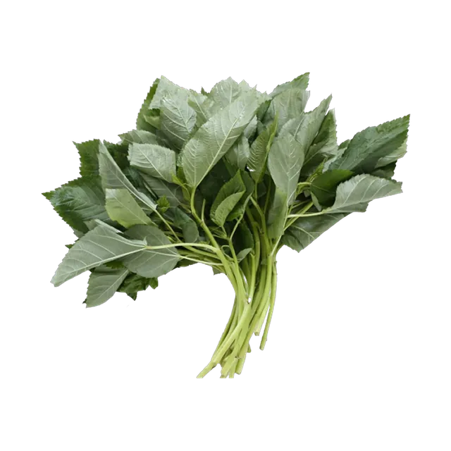 ملوخية خضرا