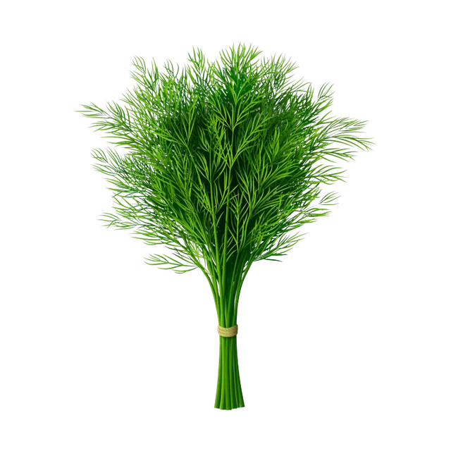شبت