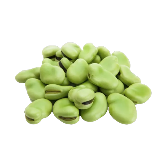 فول أخضر