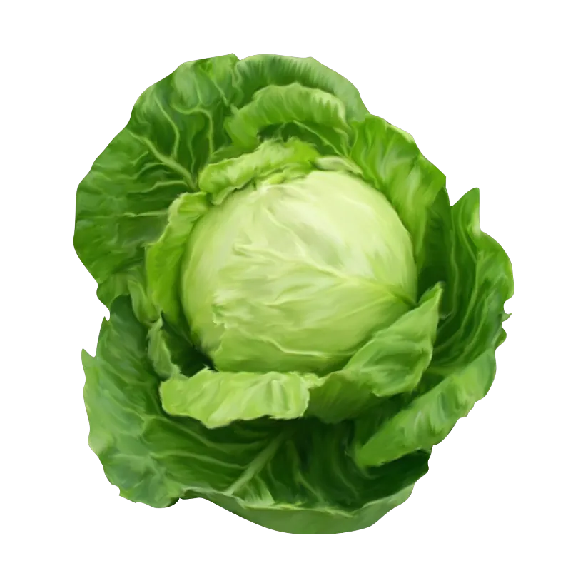 كرنب