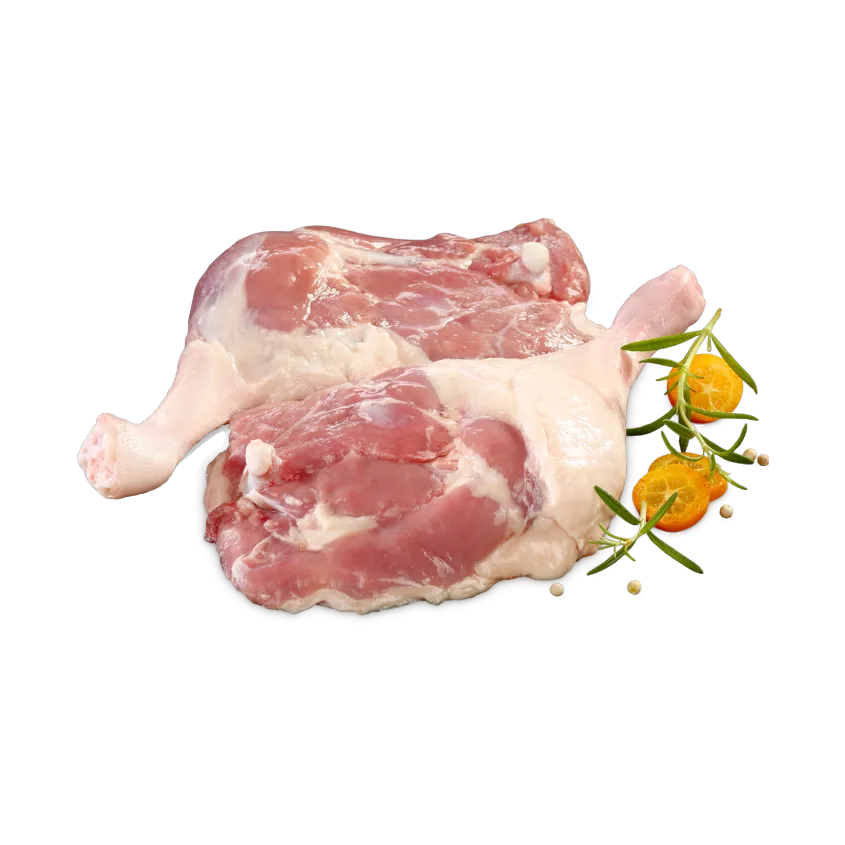 بط مسكوفي