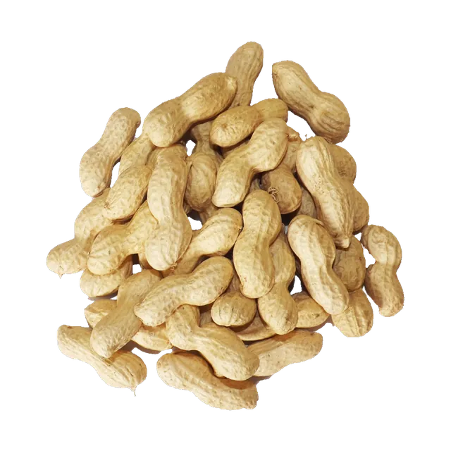سوداني بقشره محمص