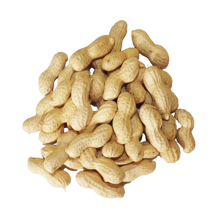 سوداني بقشره محمص