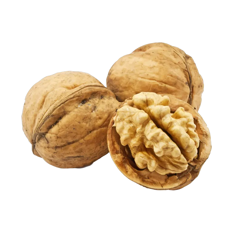 عين جمل بقشره